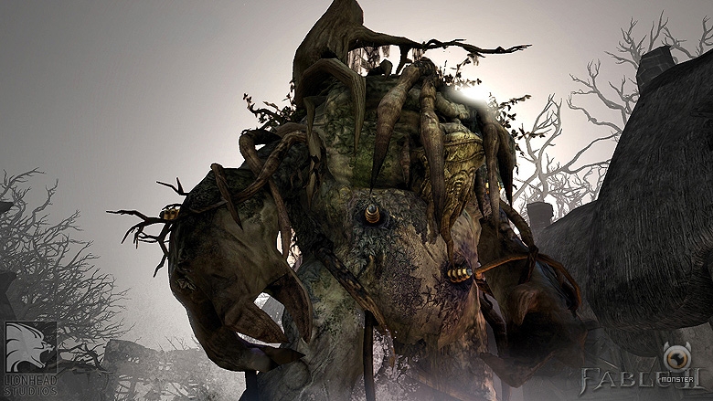 A change to the Fable 2 Collector's Edition