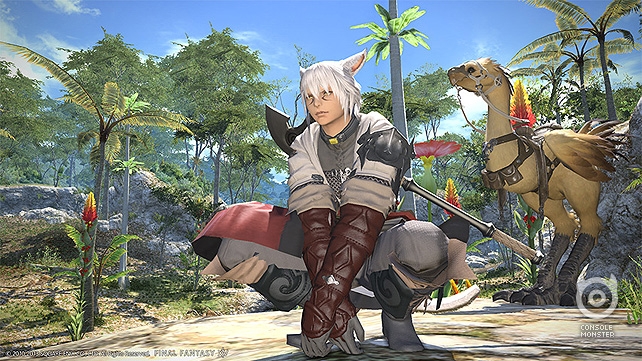 Final Fantasy XIV: A Realm Reborn