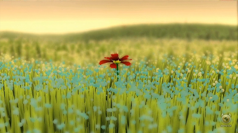 Flower-coming-this-week Flower coming this week!
