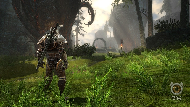 Kingdoms of Amalur: Reckoning Review