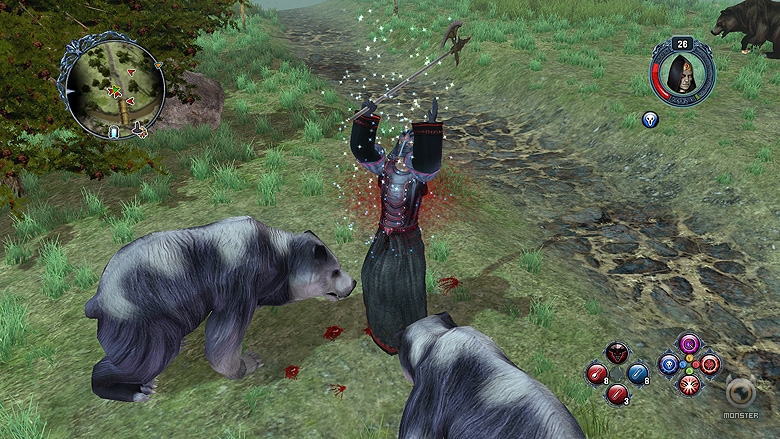Sacred 2: Fallen Angel