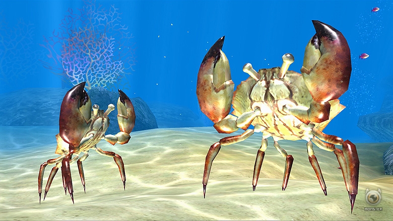 Sea Life Safari Review
