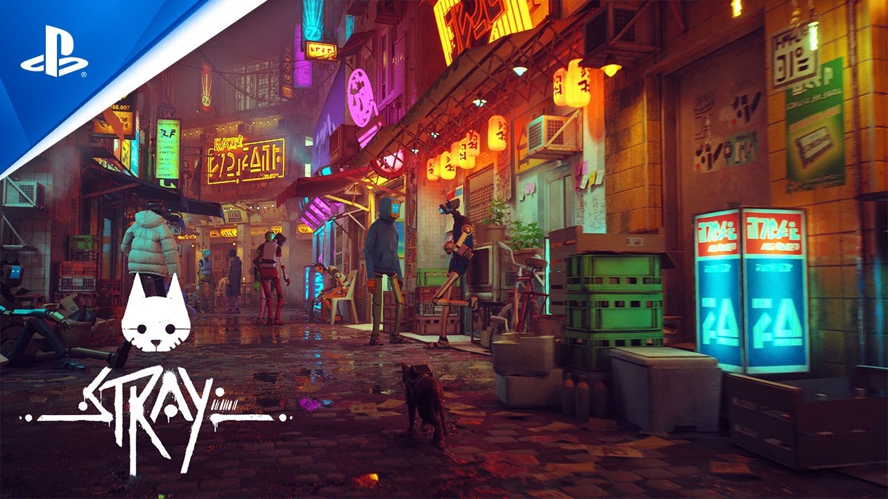 Stray – Teaser Trailer