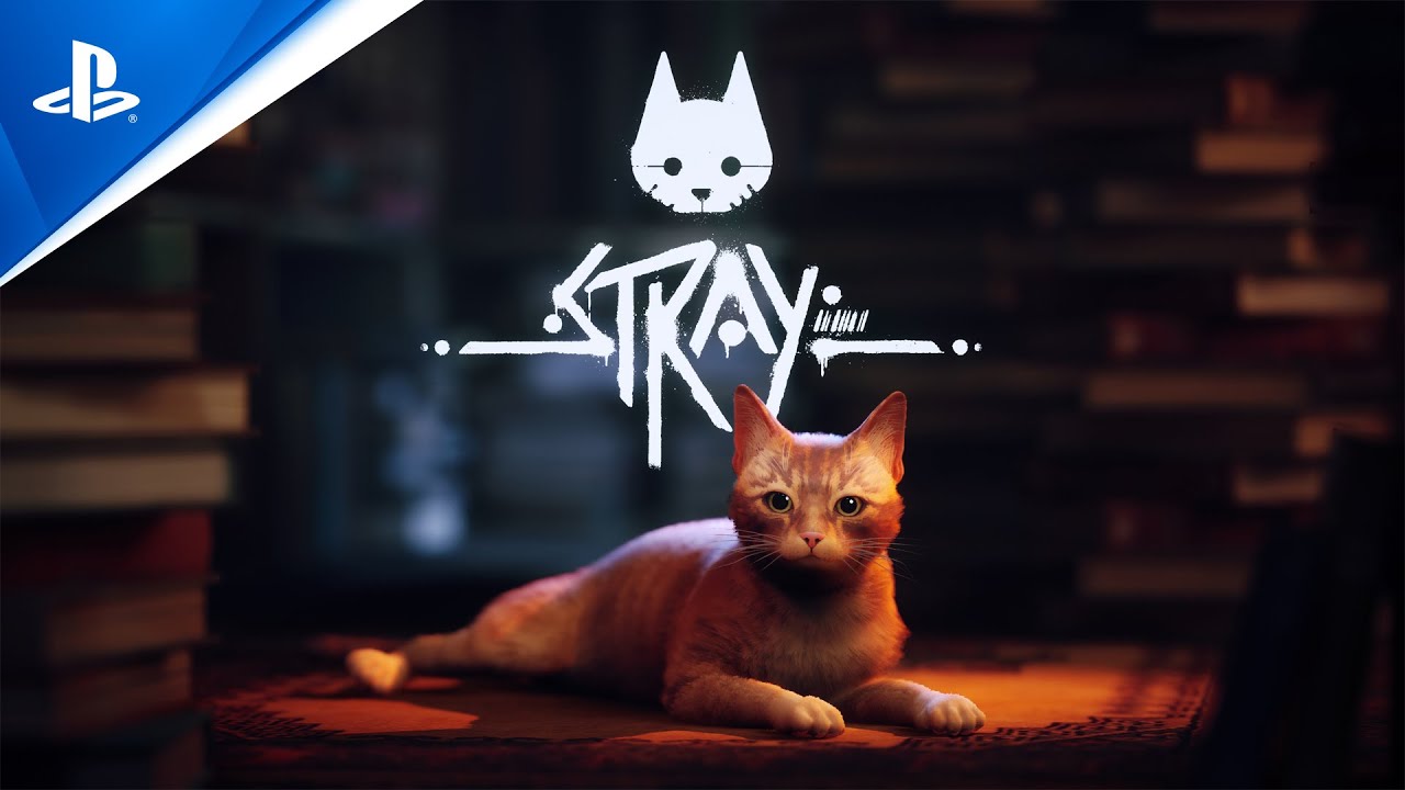 Stray – State of Play June 2022 Trailer
